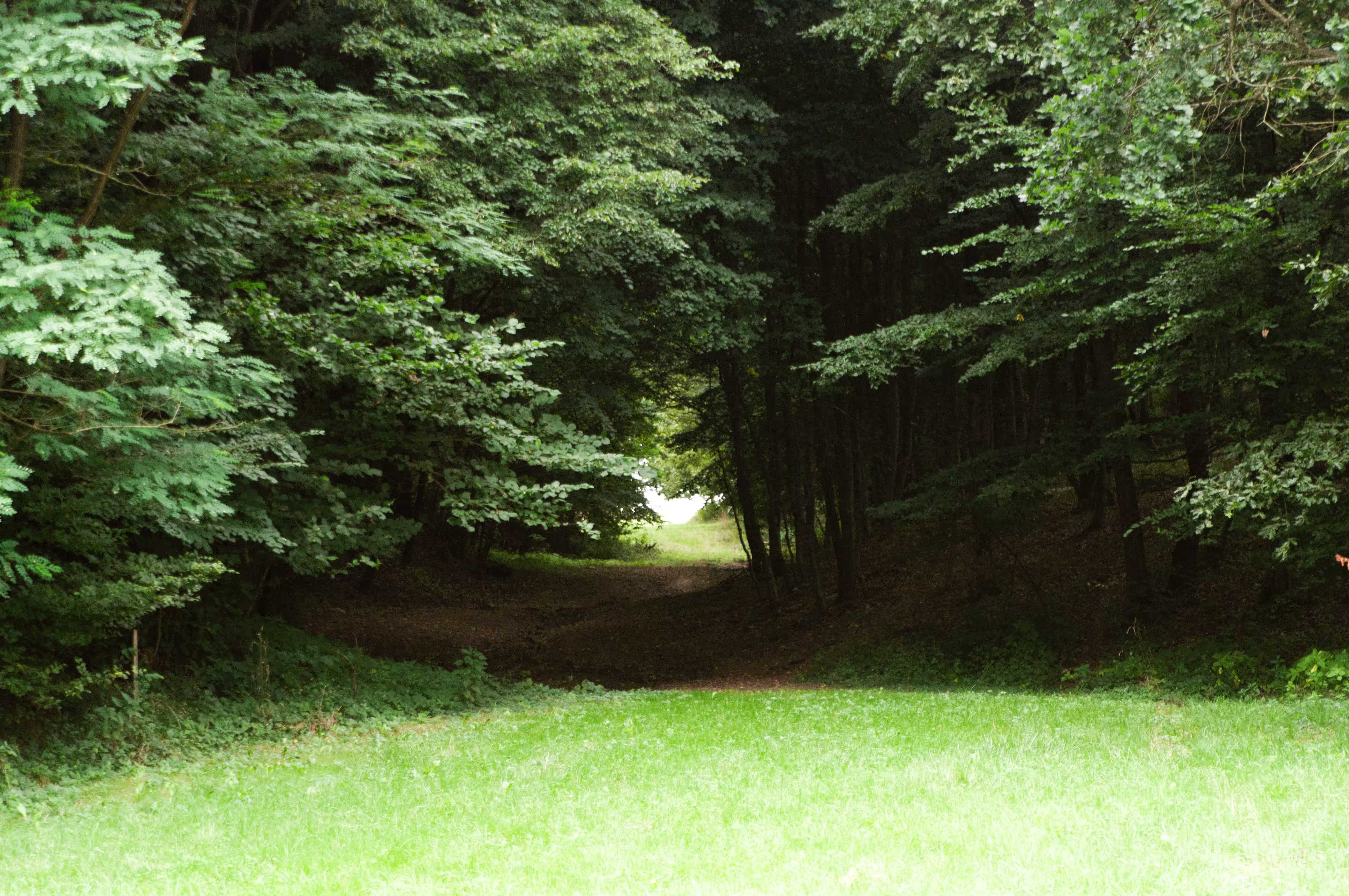 /src/assets/uploads/w (36).avif