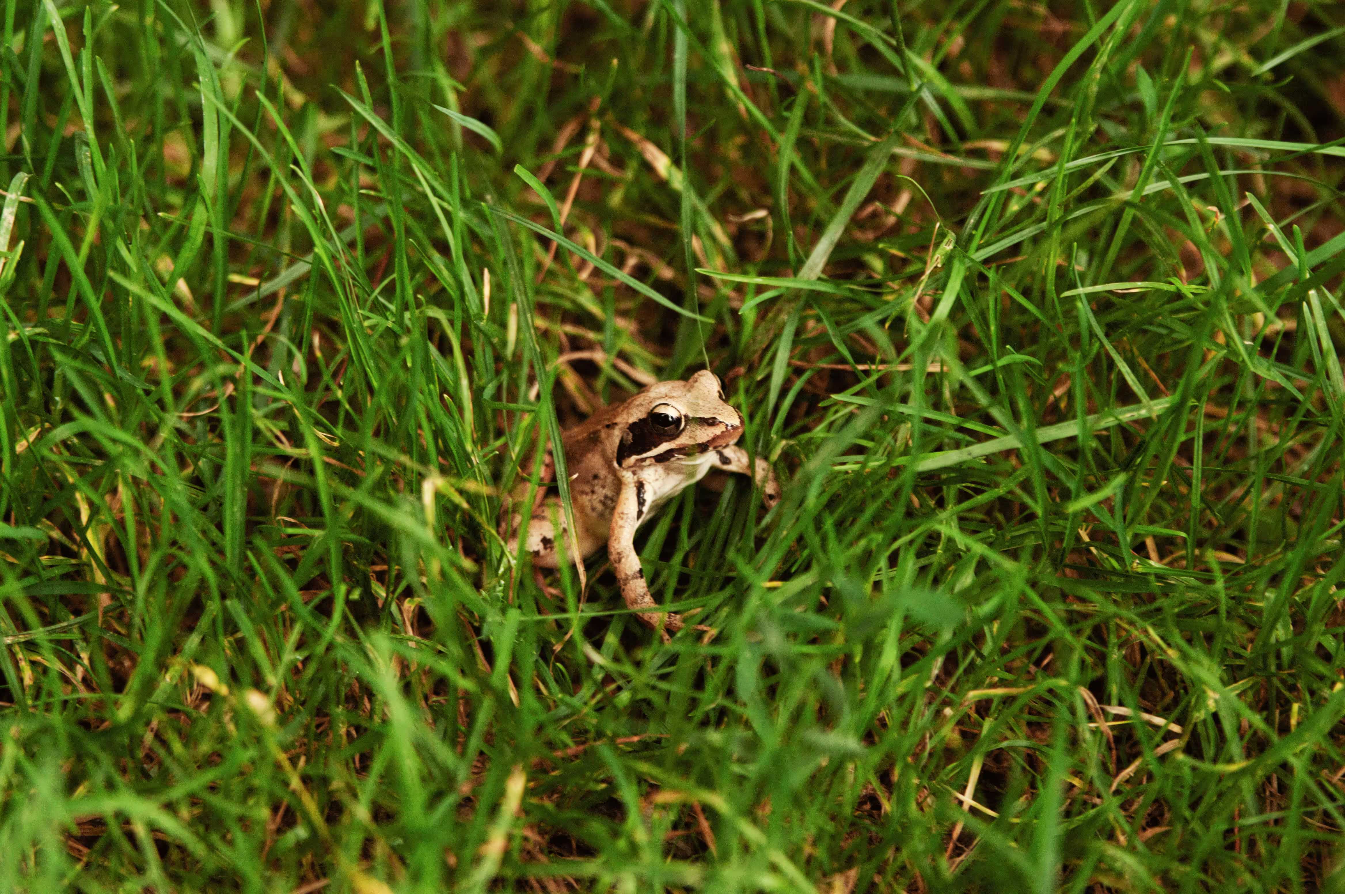 /src/assets/uploads/w (37).avif