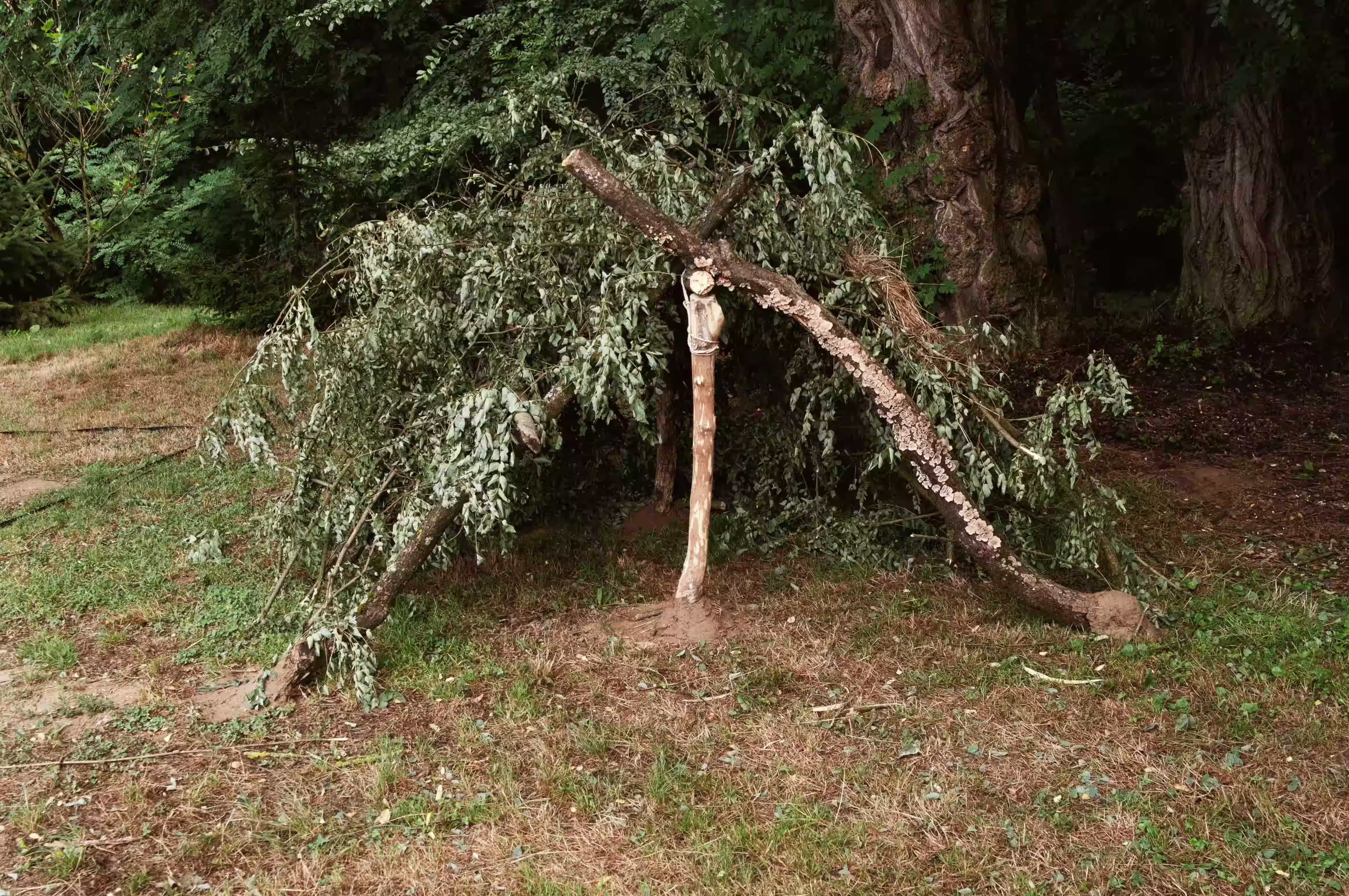 /src/assets/uploads/w (41)_compressed.avif