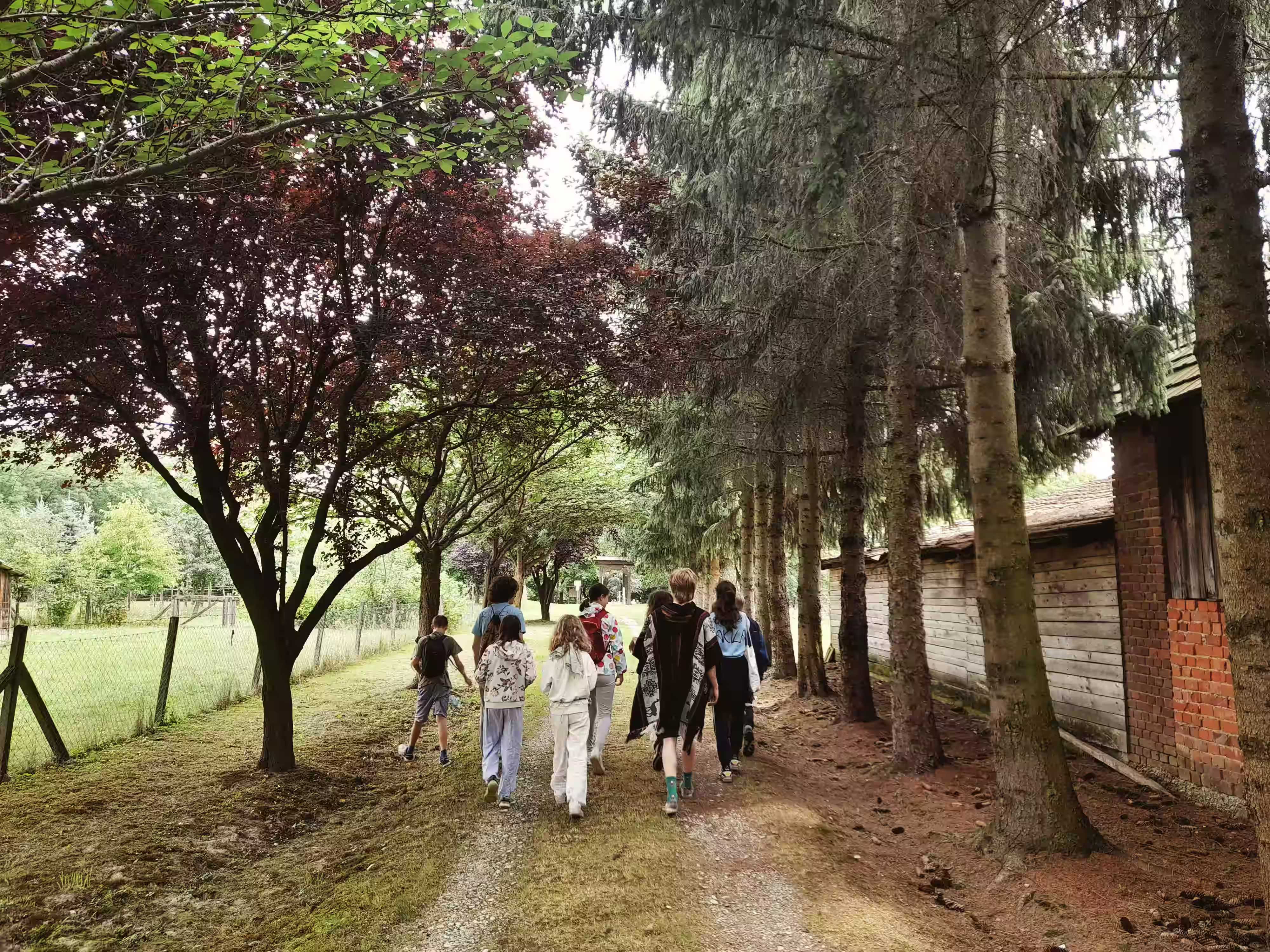 /src/assets/uploads/w (72)_compressed.avif