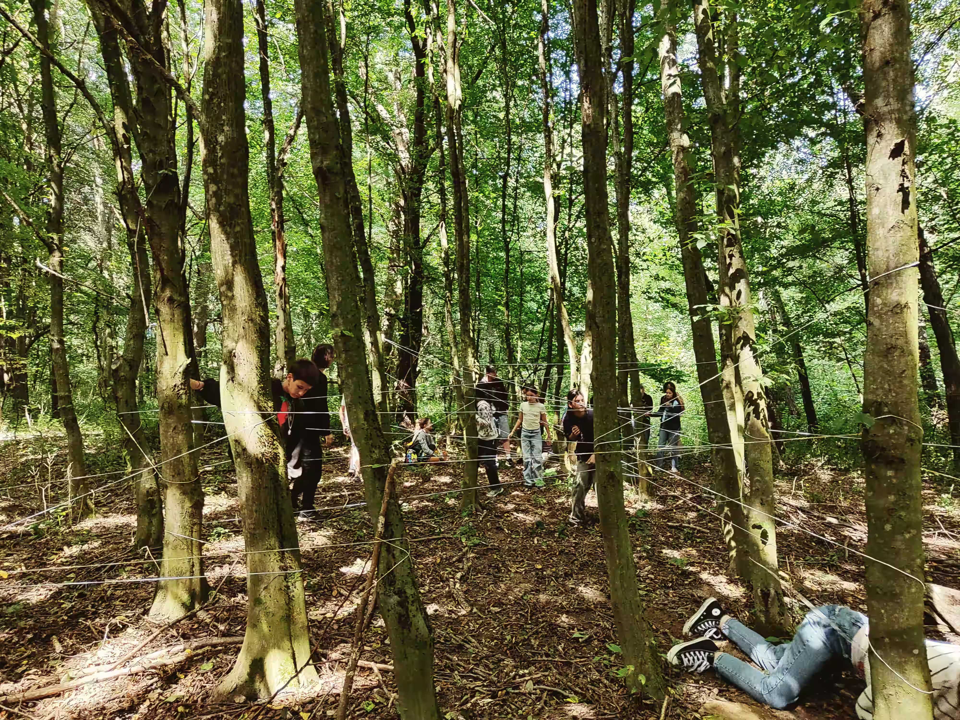 /src/assets/uploads/w (74)_compressed.avif